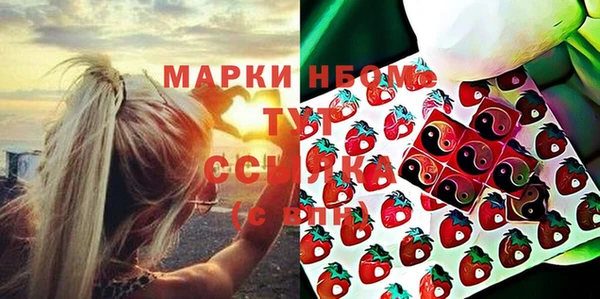 шишки Белоозёрский